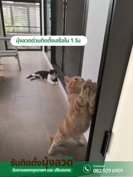 รับติดตั้งมุ้งลวดด่วน.com รับติดตั้งมุ้งลวดราคาถูก (155)